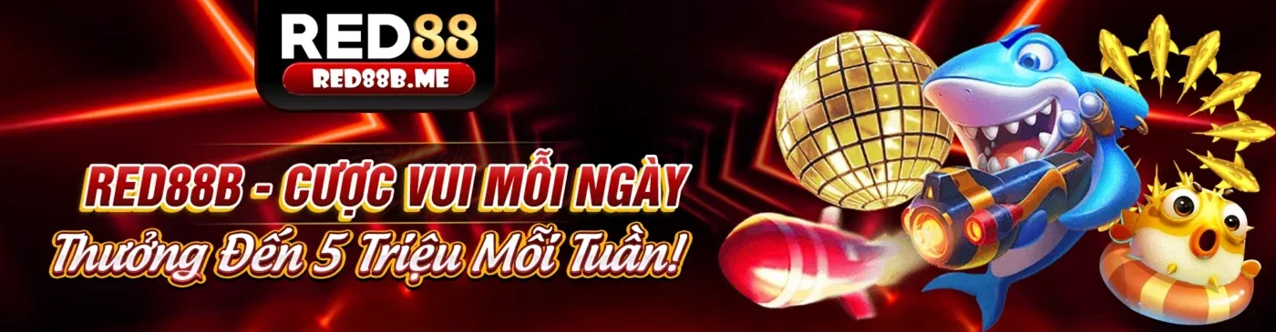 Đấu trường đá gà sôi động tại xin slot